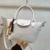 Bolso de mano de diseño nicho transfronterizo, nuevo bolso retro para el día a día de mujer con textura escarchada, bolso de hombro cruzado, moderno