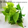 2026 Mudas de Eucalipto Atacado, Folhas Plásticas, Plantas Verdes, Folhas de Samambaia, Espigas de Trigo, Grama de Milão, Plantas para Parede de Plantas, Grama
