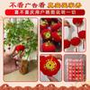 Adornos Colgantes de Farolillos Pequeños Afelpados para Árboles, Decoraciones de Año Nuevo 2026, Farolillos Rojos de Estilo Chino, Adornos Colgantes para Jardín y Bonsái de Año Nuevo