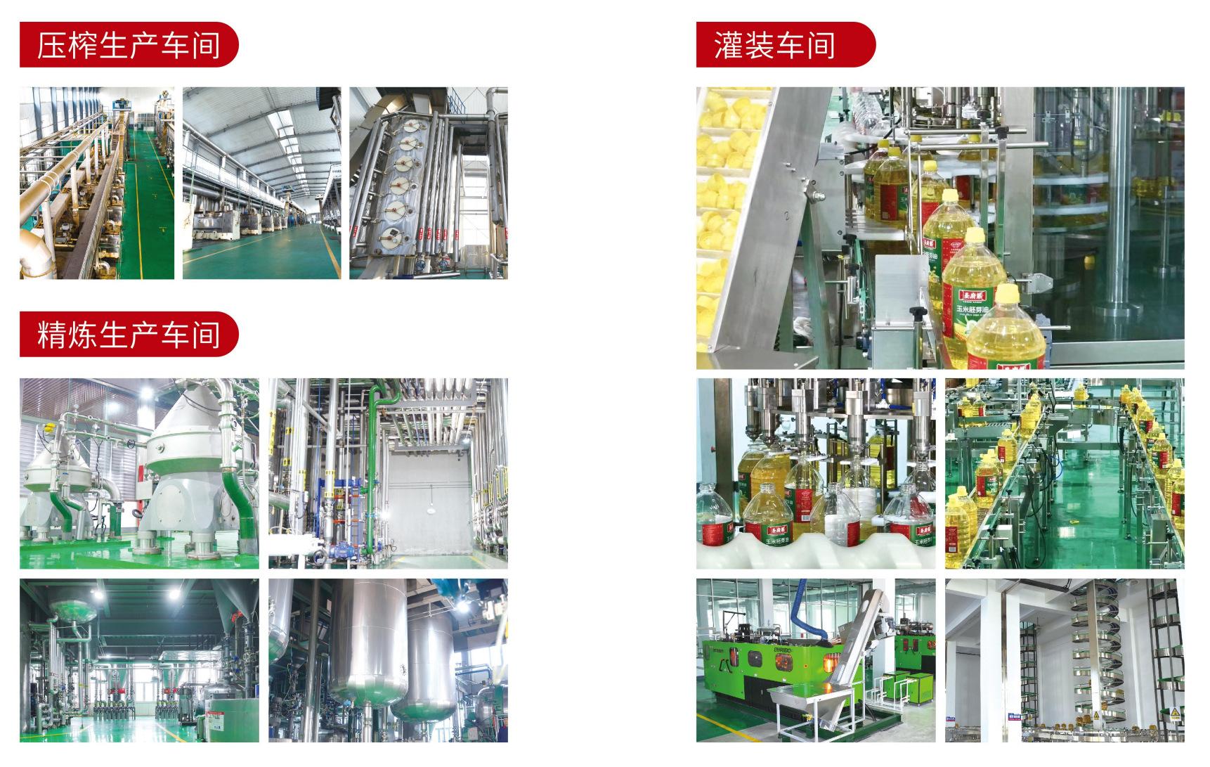 55555555555555555555