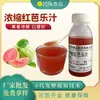 Suco Concentrado de Goiaba Vermelha Xingzhu Bebida de Suco de Goiaba Líquido Oral Ingrediente Comercial para Panificação Diretamente do Fabricante