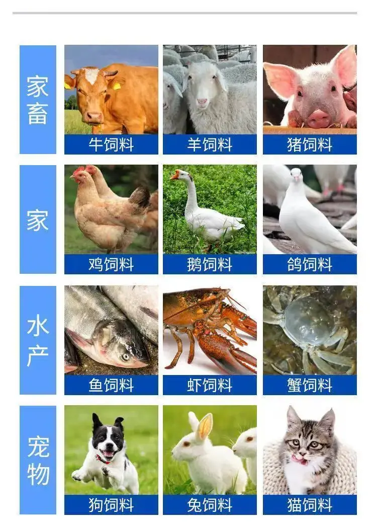 颗粒机777.jpg