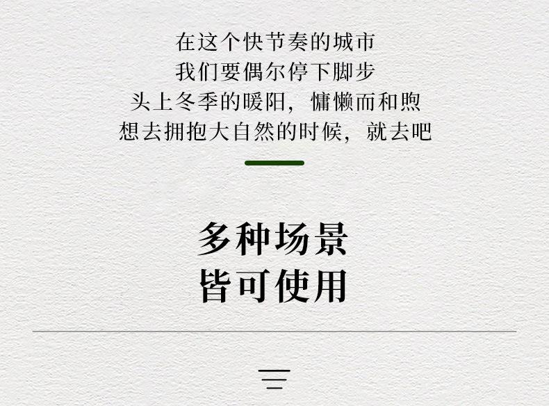 强磁悬挂器_02.jpg