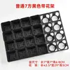 Porta bandejas de plástico para macetas de flores suculentas de 20 y 24 agujeros, juego de macetas cuadradas pequeñas negras y cuadradas coloridas para plántulas