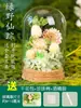 Pacote de Materiais DIY de Flores Secas Artesanais para Crianças Fazendo Decoração de Cúpula de Vidro com Flores Conservadas Ornamento Pingente de Presente