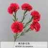 Flor Artificial Cravo Decoração de Parede de Fundo para Salão de Casamento Decoração de Sala de Estar em Casa Buquê de Cravos para o Dia das Mães