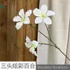 3 Lirios Coloridos, 7 Flores de Bauhinia, Adornos para la Sala de Estar del Hogar, Flores Artificiales, Accesorios para Fotografía de Boda, Flores Decorativas de Seda