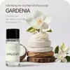 Aromaterapia para Coche Tipo Salida de Aire Aceite Esencial Aromático Perfume para Coche Exclusivo Transfronterizo Estilo Caliente de Amazon 12 Sabores