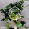 Jarrón de vidrio transparente colgante-jarrón decoraciones creativas para el hogar