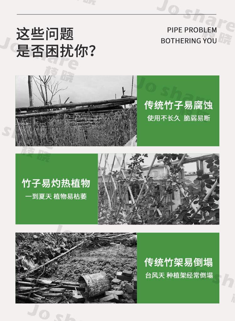 番茄支柱(1688)_03.jpg
