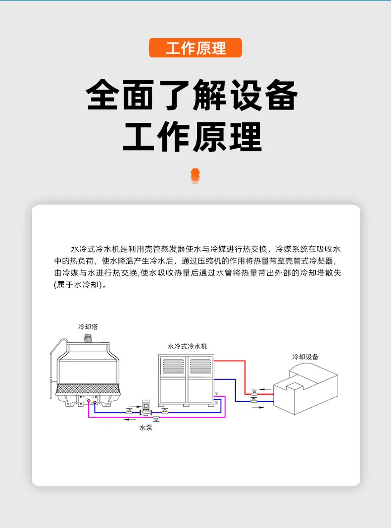 详情 (11)