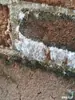 Molde para fazer gelo usa nitrato de potássio para fazer gelo no verão, método antigo, fazer gelo por nitração, não feito com pedra de parede, método de terra de pedra de dormitório para fazer gelo
