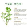Máscara de tecido de fibra vegetal de absinto, máscara de tecido Tencel, máscara de seda, tecido biodegradável não tecido, fábrica de atacado