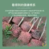 Bolsa de Cultivo de Plantas de Tela No Tejida Negra Bolsa Grande para Plantar Verduras Plantación de Árboles Maceta Nutritiva Engrosada Maceta para Flores Bolsa para Plántulas