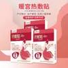 Hai's Hainuo Tiras de Compressa Quente Pós-parto Aquecedor de Útero Tiras Aquecedoras para Gestantes Alívio de Dor para Bebês Febre Menstrual Tiras Médicas Aquecedoras