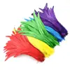 25-30CM pena de cauda de galo acessórios DIY pena colorida pena de galo pena longa acessórios para chapéu