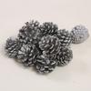 Piñas de Pino Teñidas al Por Mayor Paquete de Materiales DIY de Piñas de Pino Accesorios para Sesión de Fotos Diseño de Escena Decoración de Flores Secas Regalos Hechos a Mano