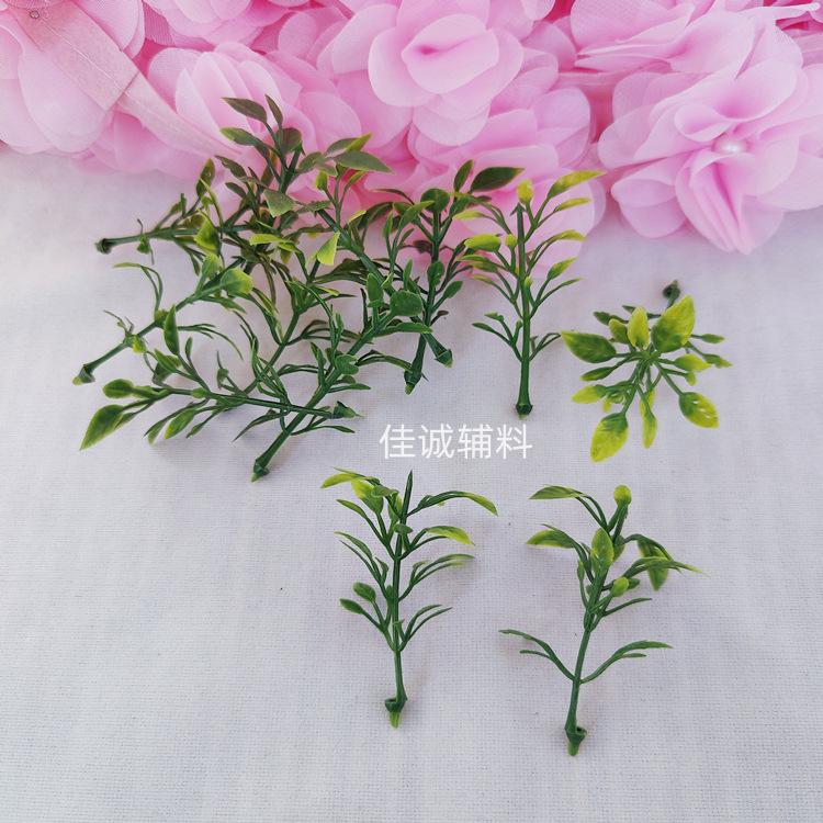 椰树-花 花绿叶.jpg