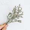 Hanano Matsueda Invierno Dulce Esponjoso Mil Capas Dorado Flor Preservada Flor Seca Paquete de Materiales DIY Hojas Rellenas Verdes Espécimen de Planta