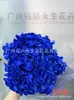 [Niebla Natural Hortensia] Flor Eterna Flor Seca Hortensia Anna Hortensia Lobular Material para Boda DIY Venta al por Mayor