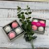 Caja de Almuerzo Desechable para Sushi Sashimi de Pastel Caja para Cortar Fruta Caja de Empaque para Fruta Camping Picnic Postre