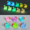 Mistura de animais pequenos luminosos tridimensionais de resina coelho do mar cachorrinho micro paisagem criativa desktop pequenos ornamentos atacado