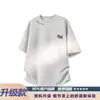 Camiseta de Manga Corta Bordada de Ponis para Hombre, Nuevo Estilo Verano 2026, Top Versátil de Corte Holgado para Adolescentes, Ropa Pesada para Niños