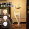 Lámpara de Pie Ornamental Artística, Sala de Estar de Lujo Ligero, Lámpara de Mesita de Noche Moderna Simple de Gama Alta para Dormitorio, Artículo de Decoración para el Hogar