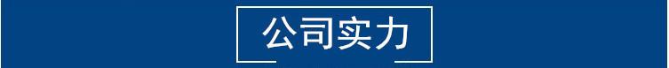 1公司实力