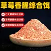 Coleção de Iscas de Pesca em Atacado Quatro Estações Versátil Abrangente Dropshipping Pesca Selvagem Carpa Crucian Carpa Carpa Prateada Carpa Cabeça de Boi Isca com Aroma de Morango