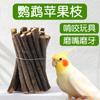 Recompensas de Entrenamiento de Snacks para Loros Comida para Pájaros Palo para Molar Gusano de Pan Mordida Especial Xuan Feng Piel de Tigre Sol Pequeño