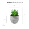 En existencia Simulación de dedos carnosos de bergamota Planta en maceta Decoración de escritorio Regalo Mini planta verde Bonsai TEMU Planta de simulación