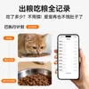 Comedero Automático para Mascotas, Dispensador de Agua Inteligente para Gatos, Dispensador Todo en Uno de Comida y Agua para Perros, Máquina de Alimentación con Cámara