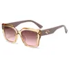 Gafas de sol Retro Triángulo Invertido con Montura Grande para Mujer, Gafas Negras de Alta Gama, Gafas de Sol Cuadradas de Moda para Celebridades y Personalidades de Internet
