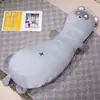 Brinquedo de Pelúcia Pequeno Guaxinim de Seda de Gelo, Travesseiro de Dormir Infantil, Almofada Longa, Boneca para Abraçar as Pernas de Meninas, Brinquedo Companheiro, Presente