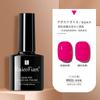 Manicura Cat Eye Glue 2024 Nuevo Set de Pegamento para Esmalte de Uñas Tienda Especial de Nail Art Pegamento de Fototerapia Color Popular de Celebridad de Internet Set Pequeño