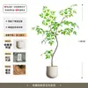Planta de simulación Nandina domestica de pie en maceta para interior, grande, biónica, verde, adornos, sala de estar, lujo ligero, flor decorativa, árbol falso