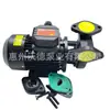 Suministro Huizhou Ward Ys-15B-120 Bomba de Agua Caliente 370W Máquina de Temperatura de Molde Bomba de Impulsor de Cobre Presurizado para Hidratación a Alta Temperatura