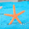 Mini Estrella de Mar Pentagonal de Color Micro Paisaje Resina Artesanía Adornos Decoración de Acuario Accesorios Paisaje Acuático para Pecera