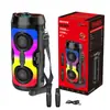 Alto-falante Bluetooth Colorido de Novo Produto Transfronteiriço com Alto-falante Duplo Microfone Externo Áudio para Dança Quadrada Palco Performance Fornecimento de Fábrica