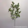 Plantas Verdes, Hierba de Espárrago, Pino Dorado de Mil Capas, Hojas Verdes para Decoración de Techo, Flores Artificiales al por Mayor, Enredaderas de Plantas Verdes Artificiales