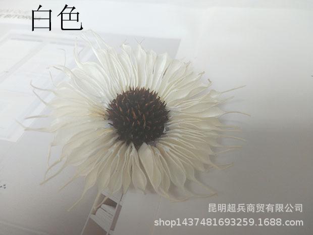 白色.jpg