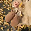 Zapatos de Cuero y Piel Gruesos de Invierno con Suela Cálida, Punta Ancha, Zapatos Peludos, Zapatos Birkenstock para Mujer