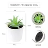Más de 100 Tipos de Combinaciones de Plantas Suculentas Mini de Plástico Simuladas en Maceta, Mini Bonsáis Suculentos Más Vendidos Transfronterizos, Decoración para el Hogar, Adornos Creativos