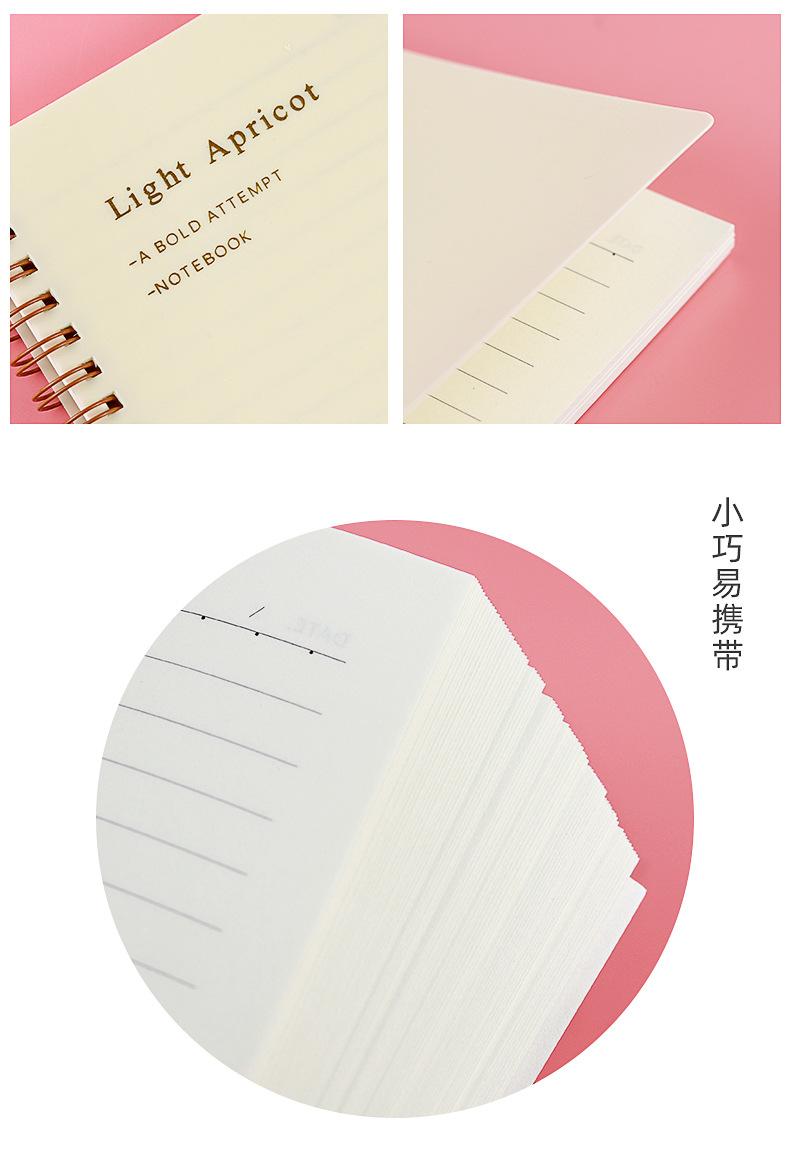 莫兰迪线圈本_10.jpg