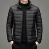 Etiqueta de corte de comercio exterior Abrigo de algodón de seda ligero para hombre Otoño e Invierno Casual Cálido Ultraligero Cuello Corto Abrigo de Algodón Abrigo