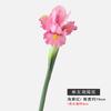 Flor de Iris de Cabeza Única Simulada Decoración Suave para Sala de Estar en Casa Arreglo Floral Fresco Flor de Bambú Plana Flor de Iris Única Flor Artificial