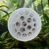 Herramienta para Arreglos Florales, Artículo Popular de Venta Transfronteriza, Popular en Amazon, Herramienta Transparente de Plástico Invisible para Arreglos Florales, Gadget Espiral para Arreglos Florales, Venta al por Mayor