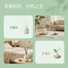 Aceite Esencial Soluble en Agua de 10 ml Aromaterapia Humidificador Especial Yeso Difusor de Fragancia sin Fuego para Habitaciones de Hotel