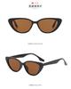Óculos de Sol Triangulares Cat-Eye Retrô Novos da Rain Óculos de Sol Atacado Óculos de Sol de Armação Pequena Óculos de Sol Femininos Óculos de Sol Masculinos